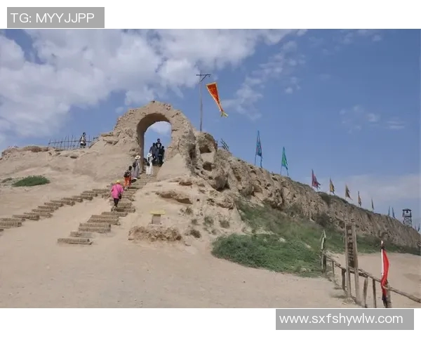 上海乒乓球队逆袭之旅挑战赛特别报道展现团队精神与拼搏意志 上海乒乓球队逆袭之旅挑战赛特别报道展现团队精神与拼搏意志