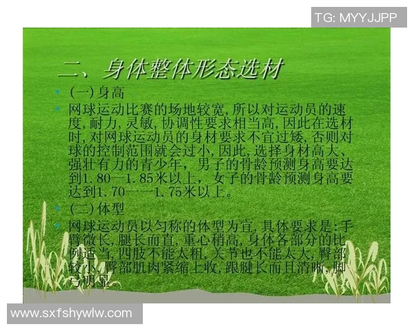 上海网球队耐力表现数据分析揭示训练效果与比赛策略的关系 上海网球队耐力表现数据分析揭示训练效果与比赛策略的关系