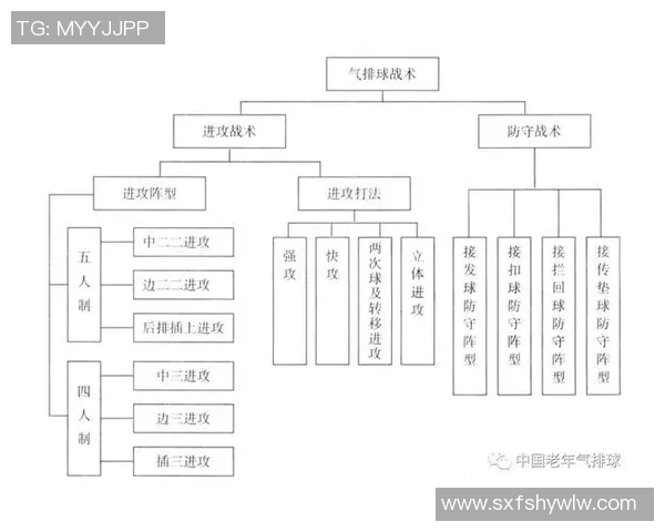 广州排球队节奏对比独家解析与战术分析探讨