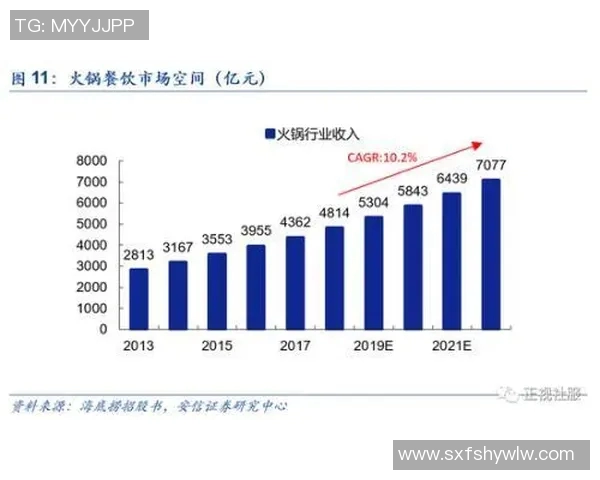 广州篮球队实力深度解析与对手力量全面对比分析