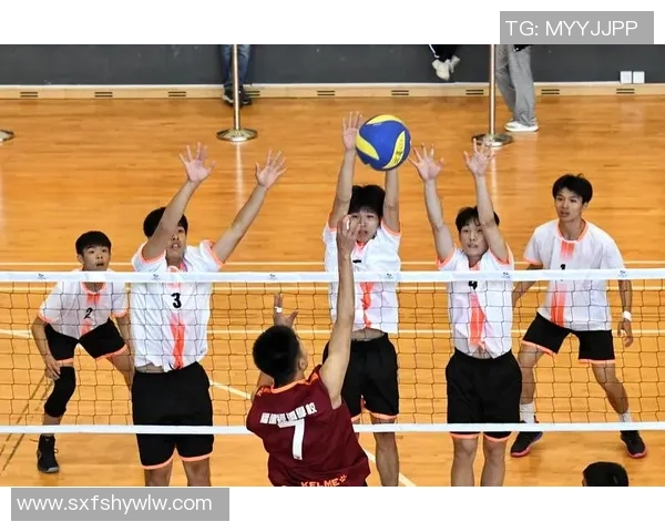 科学排球团队协作训练方法探索与实践提升团队默契与竞技水平 科学排球团队协作训练方法探索与实践提升团队默契与竞技水平