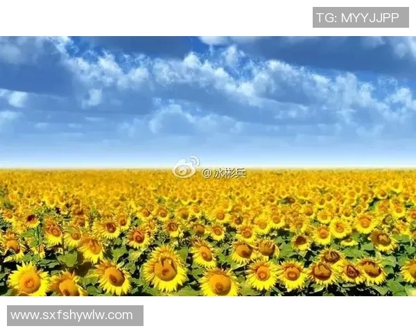 足球明星在赛季间隙享受生活放空自己寻找内心的平静与灵感 足球明星在赛季间隙享受生活放空自己寻找内心的平静与灵感